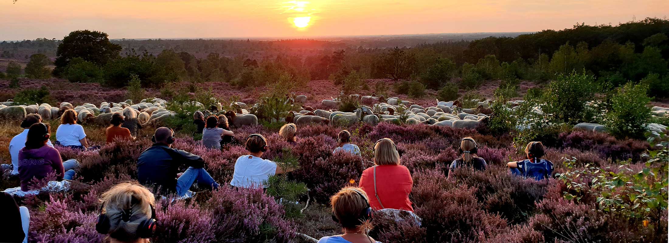 Kudde_Streamer_Tickets