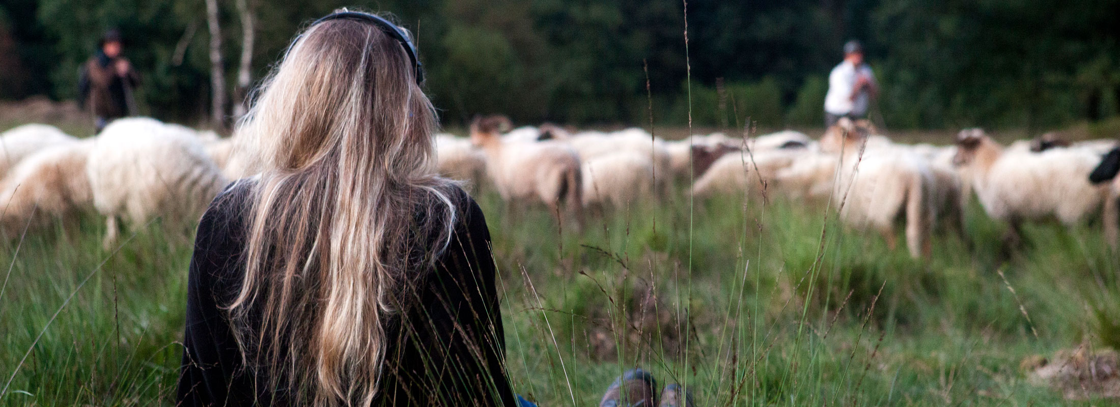 Kudde_meisje-in-gras_shop